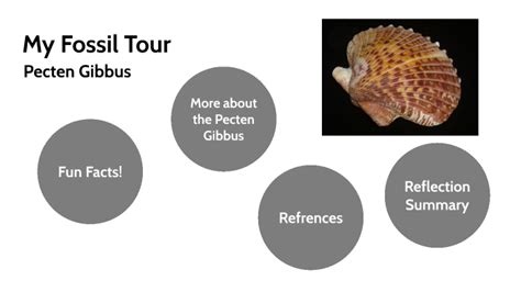 pecten gibbus  lexie douctre  prezi