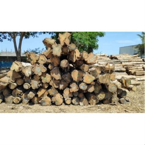 Teak Wood In Chennai Tamil Nadu Teak Wood Teak Price In Chennai