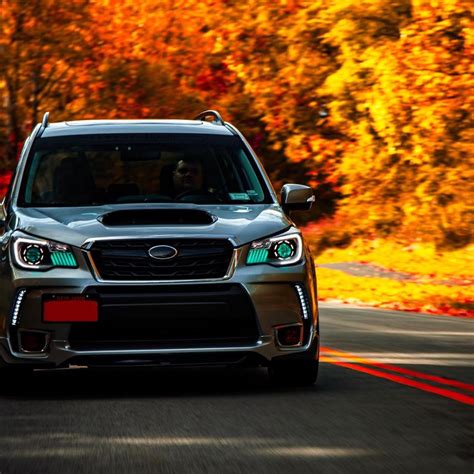 Paul M S 2017 Forester XT Premium Boxerfest