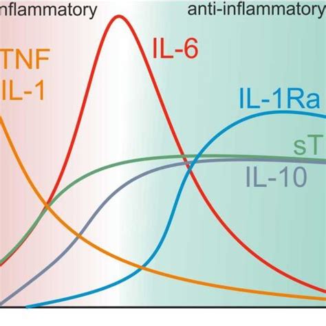 Structure (A); and mechanisms of action (B) of anti-TNF biologics. All ...