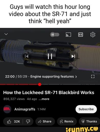 Blackbird Memes Best Collection Of Funny Blackbird Pictures On Ifunny