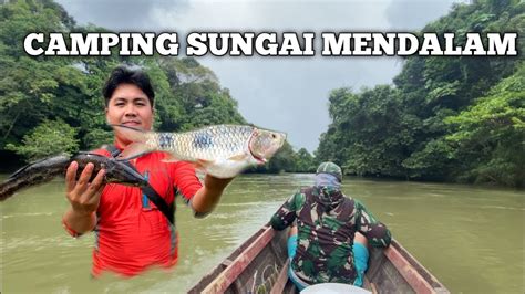 Camping Hari Hujan Deras Di Sungai Mendalam Fishing Camp Masak Dan