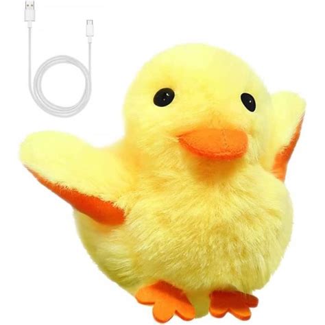 Jouets Pour Chat Canard Battant Rechargeable Jouet Interactif En