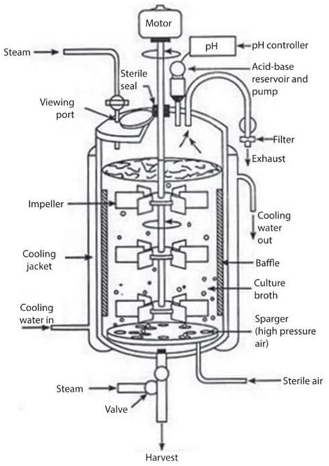 Bioreactors And Fermenters