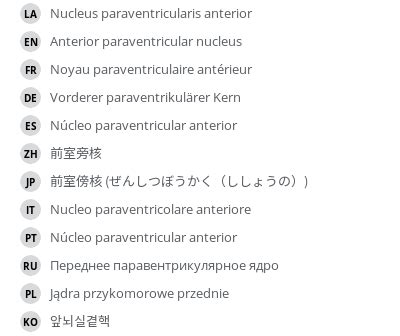 Anterior paraventricular nucleus - e-Anatomy - IMAIOS