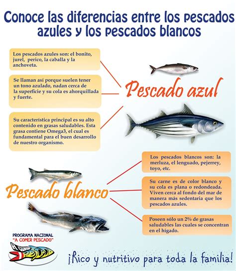 El Deporte En El Mater Propiedades Del Pescado