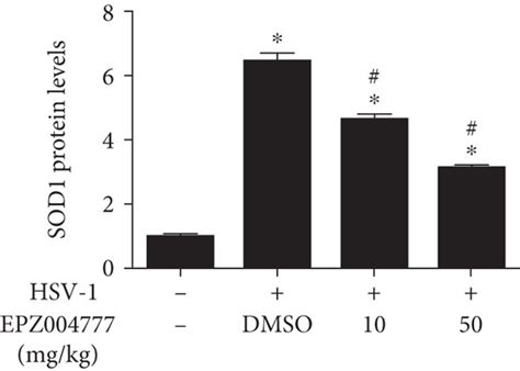 Dot1l Inhibition Prevented Oxidative Stress Induced By HSV 1 Infection