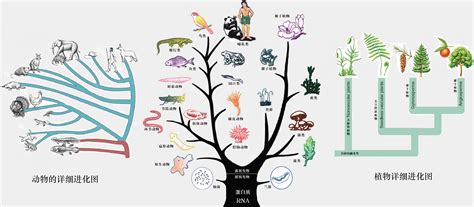 科学网—我们不知道答案的125个科学问题72表观的进化 张林的博文