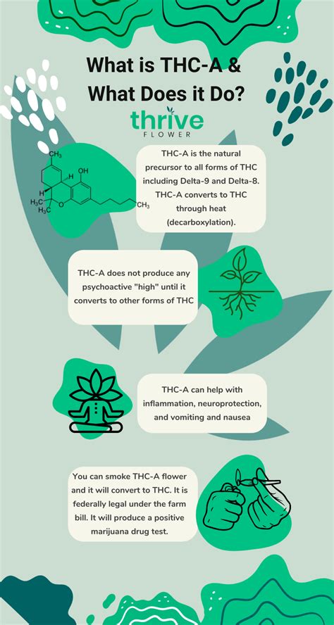 What Is Thca Learn The Benefits Of Thca Thrive Flower