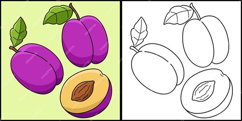 Ciruela Fruta Vegetal Página Para Colorear Ilustración Vector Premium