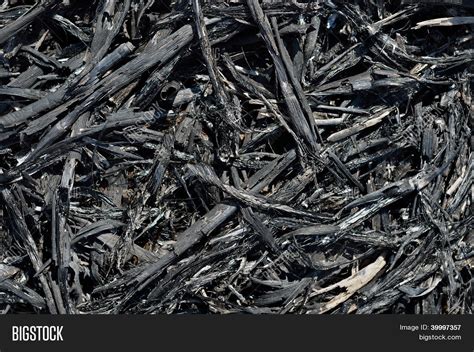 Ash After Fire Image & Photo (Free Trial) | Bigstock