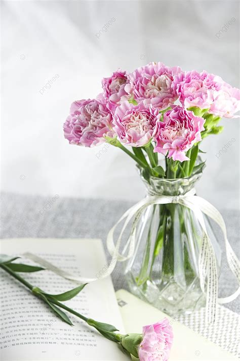 Natural Light Photography Of Carnations On Teacher S Day And Mother S