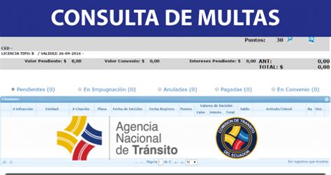 Como Consultar Multas De Transito Online