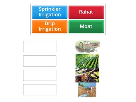 Irrigation -Types - Match up