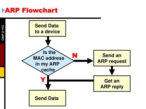 Ppt Semester 1 Chapter 11 Powerpoint Presentation Free Download Id