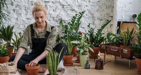 Met Deze Apps En Gadgets Heb Je Geen Groene Vingers Nodig TechGirl