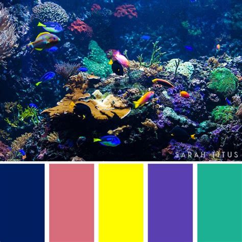 25 Ocean Inspired Color Palettes Ocean Inspiration Coral Colour