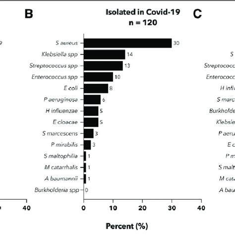 Relative Frequencies Of Strains Identified In Isolates In The