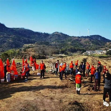 春回大地植树忙，干群合力添新绿总路咀镇四大曹军涛