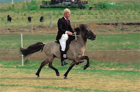 Horsemanship Definition History Fundamentals Gaits And Facts