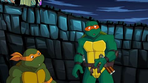 TMNT: TURTLES FOREVER - TokyVideo