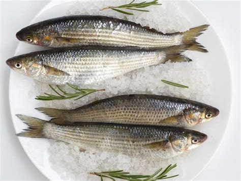 Buy Parshe Fish Online - Online Fish&Meat Store Of Kolkata