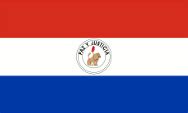 Paraguay Flag In Lexicon And Shop