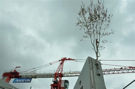 VIDEO Imagine Angers la Tour TIP surplombe déjà la ville Angers