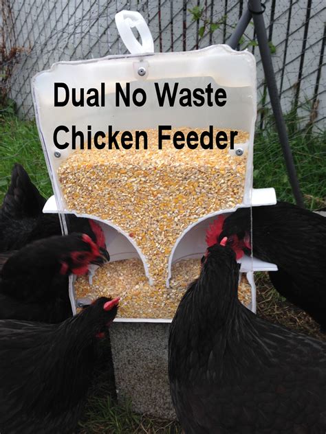 No Waste Rodent Free Chicken Feeders DIY | Living Center Oregon