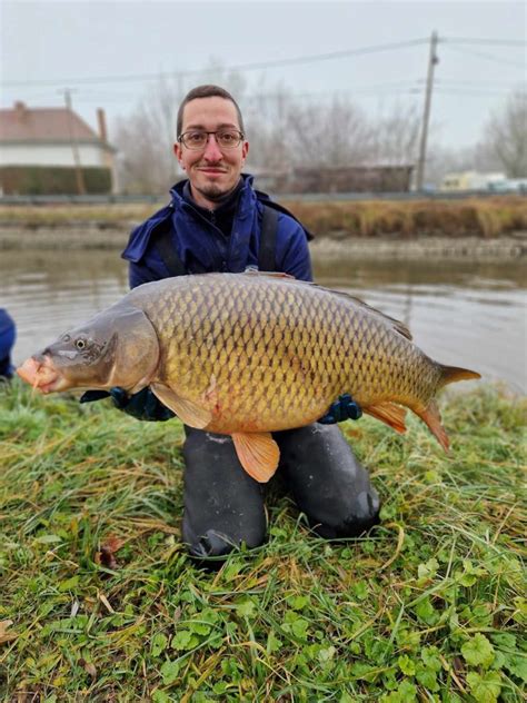 Bilan Des Peches De Sauvetages Canaux De Sa Ne Et Loire F D Ration