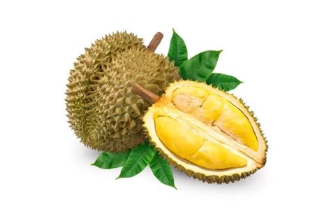 Pecinta Durian Wajib Merapat Berikut Top 5 Provinsi Penghasil Durian