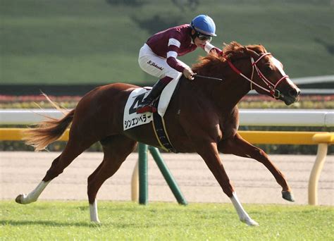 【東京5r新馬】凱旋門賞馬の弟シンエンペラー快勝 横山武「想像以上の強さ」― スポニチ Sponichi Annex ギャンブル