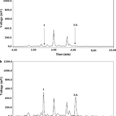 Typical Chromatograms Of The Blank Human Urine Extract A And Of A