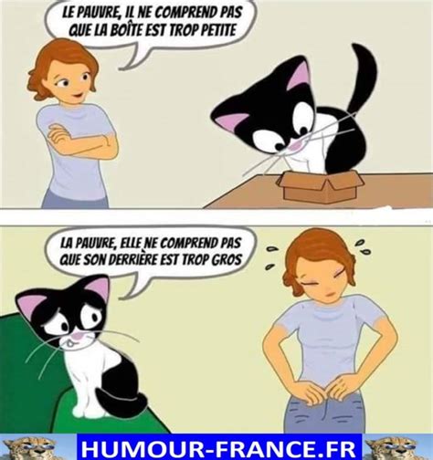 Le Pauvre Il Ne Comprend Pas Que La Boite Est Trop Petite Humour