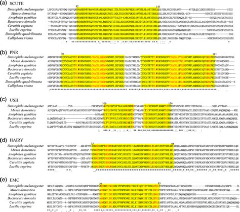 The Protein Sequence Comparison Of The Functional Domains Of Five Genes