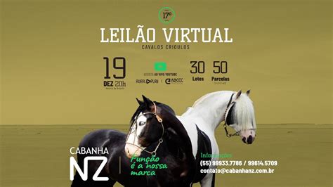 17º Leilão Virtual de Cavalos Crioulos da CabanhaNZ dia 19 12 2022