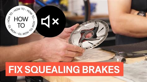 How To Fix Squeaky Disc Brakes On Your Bike How To Tpc Youtube