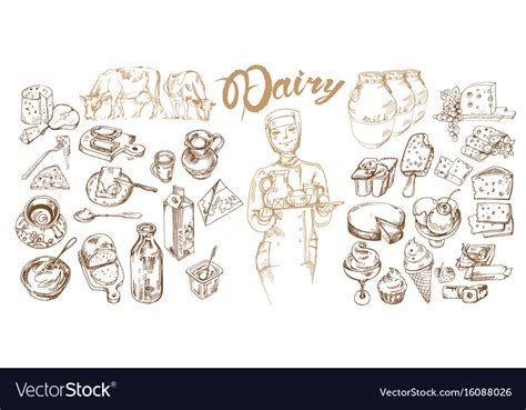 Hand Drawn Dairy Products Set Royalty Free Vector Image