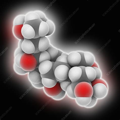 Ecdysterone Molecule Stock Image C Science Photo Library