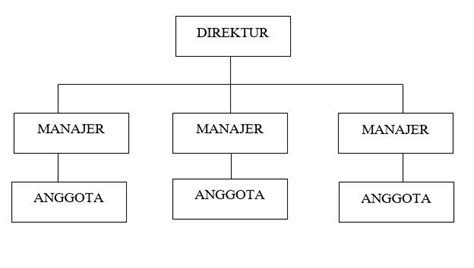 Jenis Struktur Organisasi Perusahaan Pengertian Struktur Organisasi