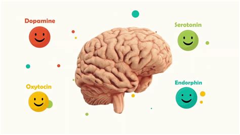 Dopamine Vs Serotonin - bmp-online