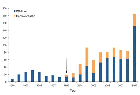 Snow Leopard Population Graph