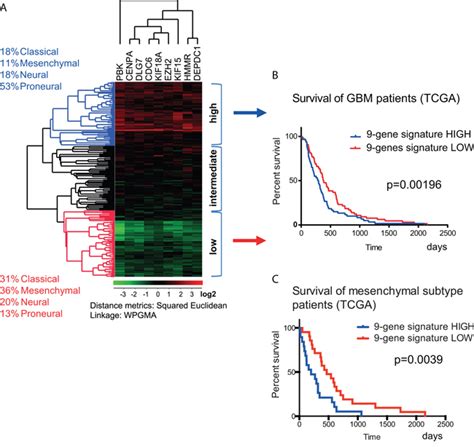 Combined Expressional Analysis Bioinformatics And Targeted Proteomics