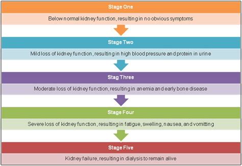 5 Stages of Kidney Disease | Kidney disease, Kidney disease awareness ...