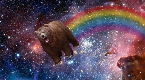 66 Best Space Bears Images On Pinterest Bear Bears And Bear Illustration