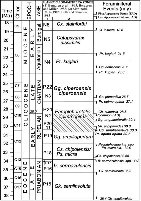 Late Eocene To Early Miocene Stages Chronostratigraphy Download Scientific Diagram