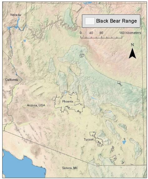 Black bear range in Arizona and the study area for investigating the ...