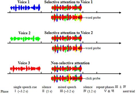 Frontiers Selective Attention Enhances Beta Band Cortical Oscillation