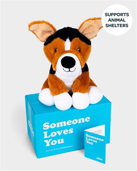 Roscoe The Rescue Dog Sendafriends Stuffed Animal Care Packages