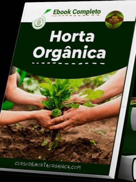 Produza Seus Pr Prios Alimentos Org Nicos Em Qualquer Espa O Hortas